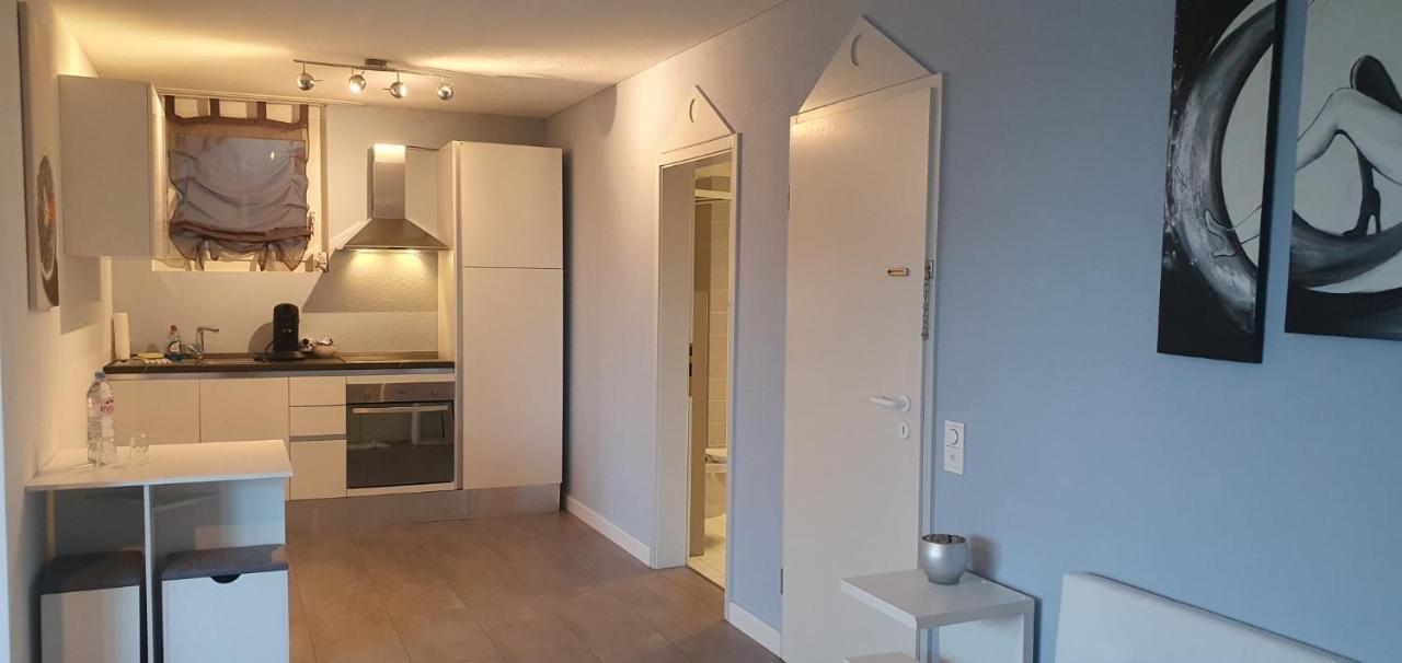 Ferienwohnung Am Bodensee Mit Seesicht Und Wellness Rorschacherberg Bagian luar foto